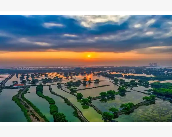 MT4手机端市场报价列表查看方法_进入报价列表的基础路径_6
