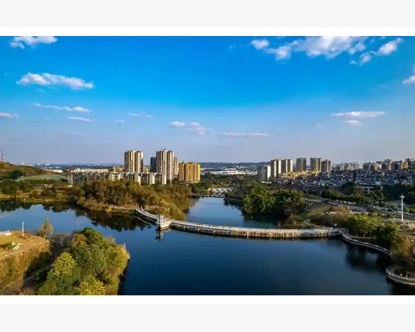MT4市场深度数据查看实战操作详解_市场深度功能在哪里找到_1