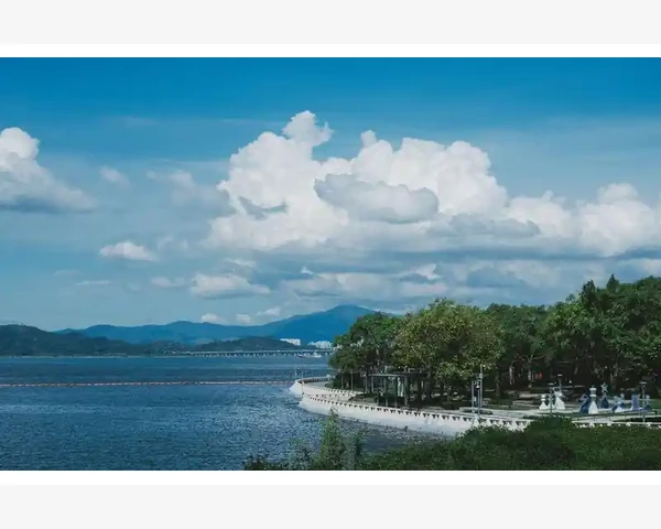 MT4多窗口布局乱了如何一键恢复模板调用_指标代码本身存在的语法错误