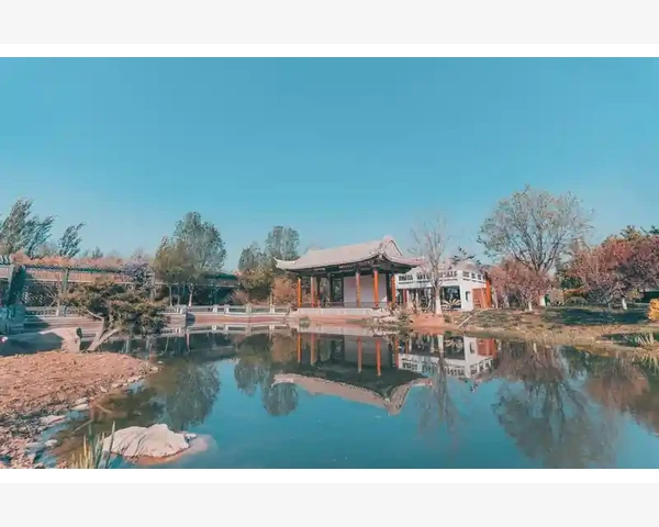 MT4多设备同步设置实现无缝交易_MT4报表中平均亏损的数据来源与细节