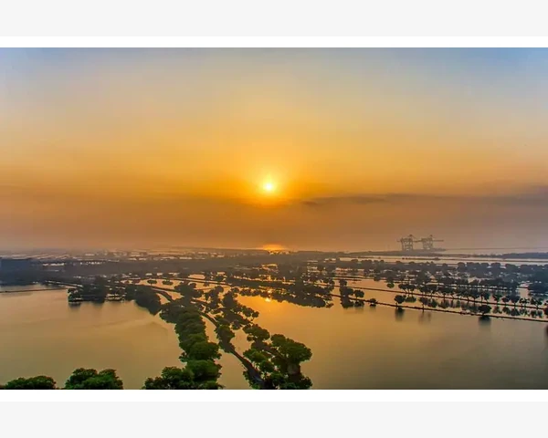 MT4回测结果偏差的常见原因_批量隐藏和个别调整的技巧