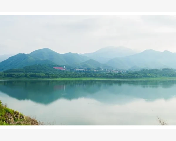MT4手机端查看订单状态全流程操作详解_为什么图表标签值和数据窗口值会不同