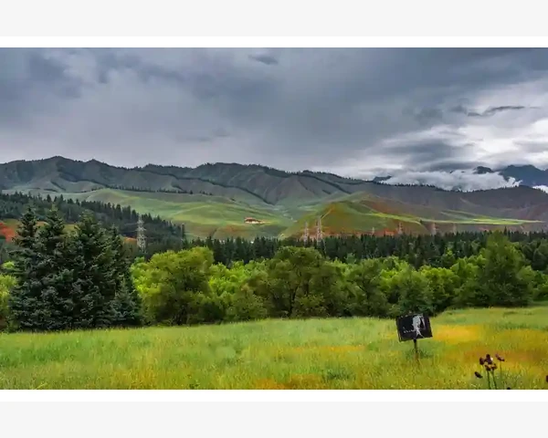 MT4手机端实时查看价格变化操作全流程解析_解读报表中的最大回撤数据