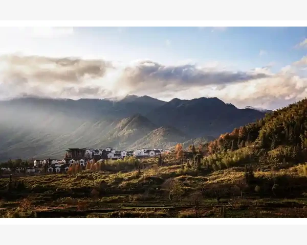 MT4多周期指标模板独立保存设置技巧_理解MT4模板与周期的关联逻辑_1
