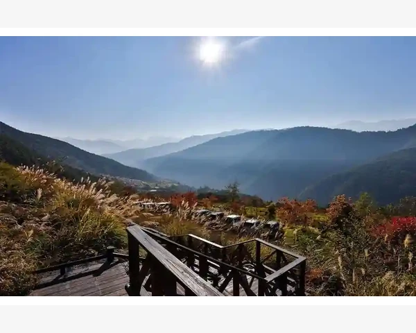 MT4多周期图表同屏分析技巧_选择GTC还是GTD的实战建议