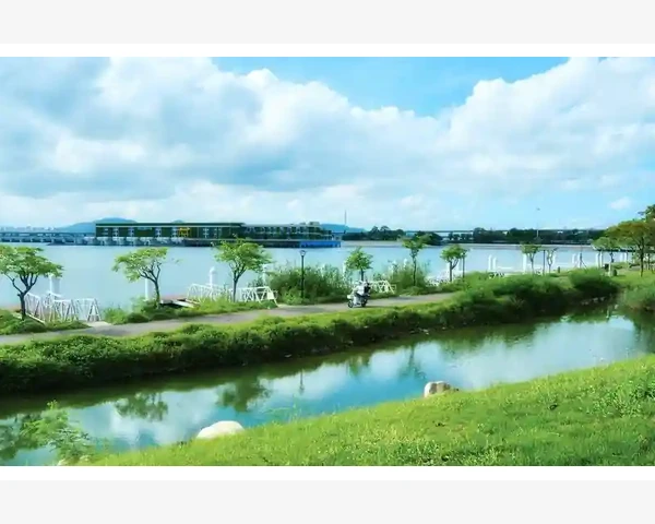 MT4显示分辨率调整技巧让画面更舒适_常见问题与自定义快捷键的注意事项