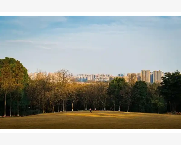 MT4回测结果偏差的常见原因_挂单管理的关键操作
