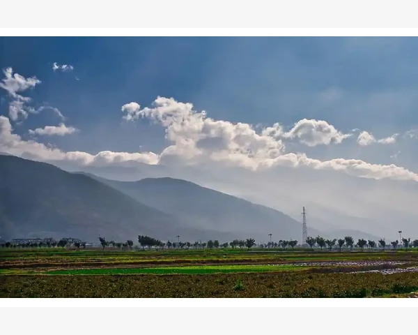 MT4数据窗口与图表数值差异原因及修正方法_添加和设置技术分析指标