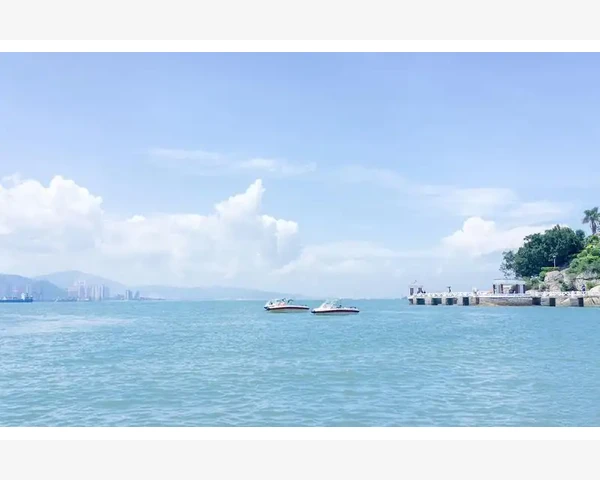 MT4持仓开仓价不受隔夜利息影响详解_断网期间无法操作订单的应对策略