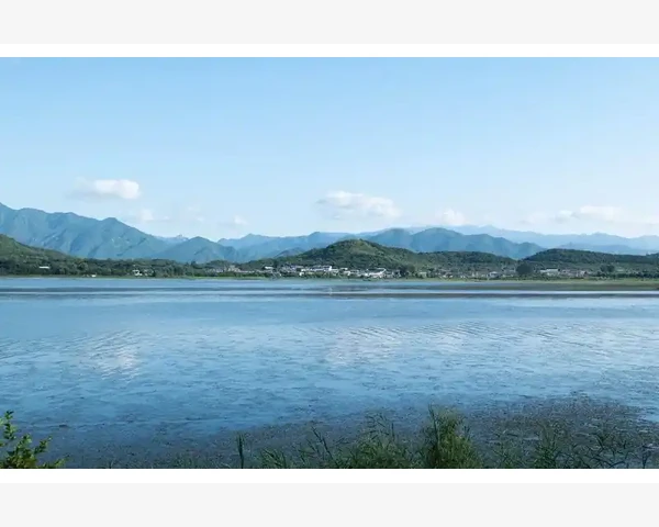 MT4手机端多账户轻松切换管理_添加新账户前先做好准备工作