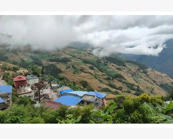 MT4持仓止盈止损触发顺序独立互不干扰真相_止盈止损独立触发的工作原理_4